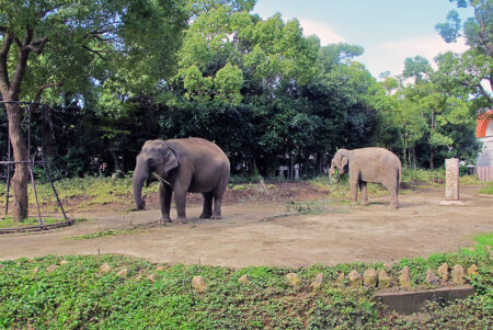 世界の動物旅行を体験！「よこはま動物園ズーラシア」