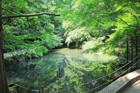 科学・アート・古民家など施設も充実した「生田緑地」