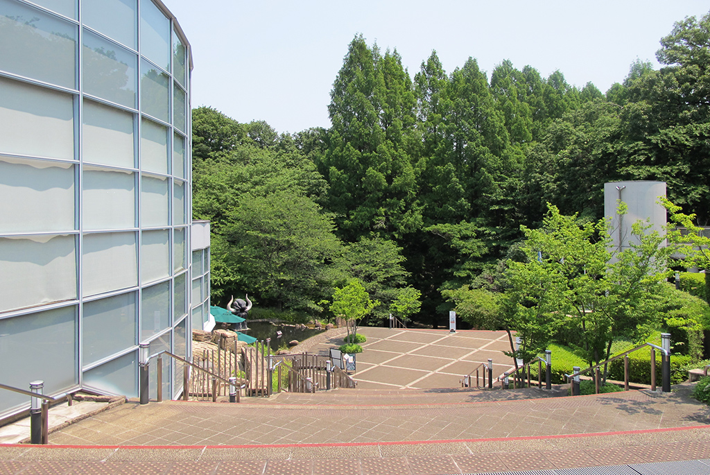 生田緑地に囲まれ眺望も素晴らしい美術館