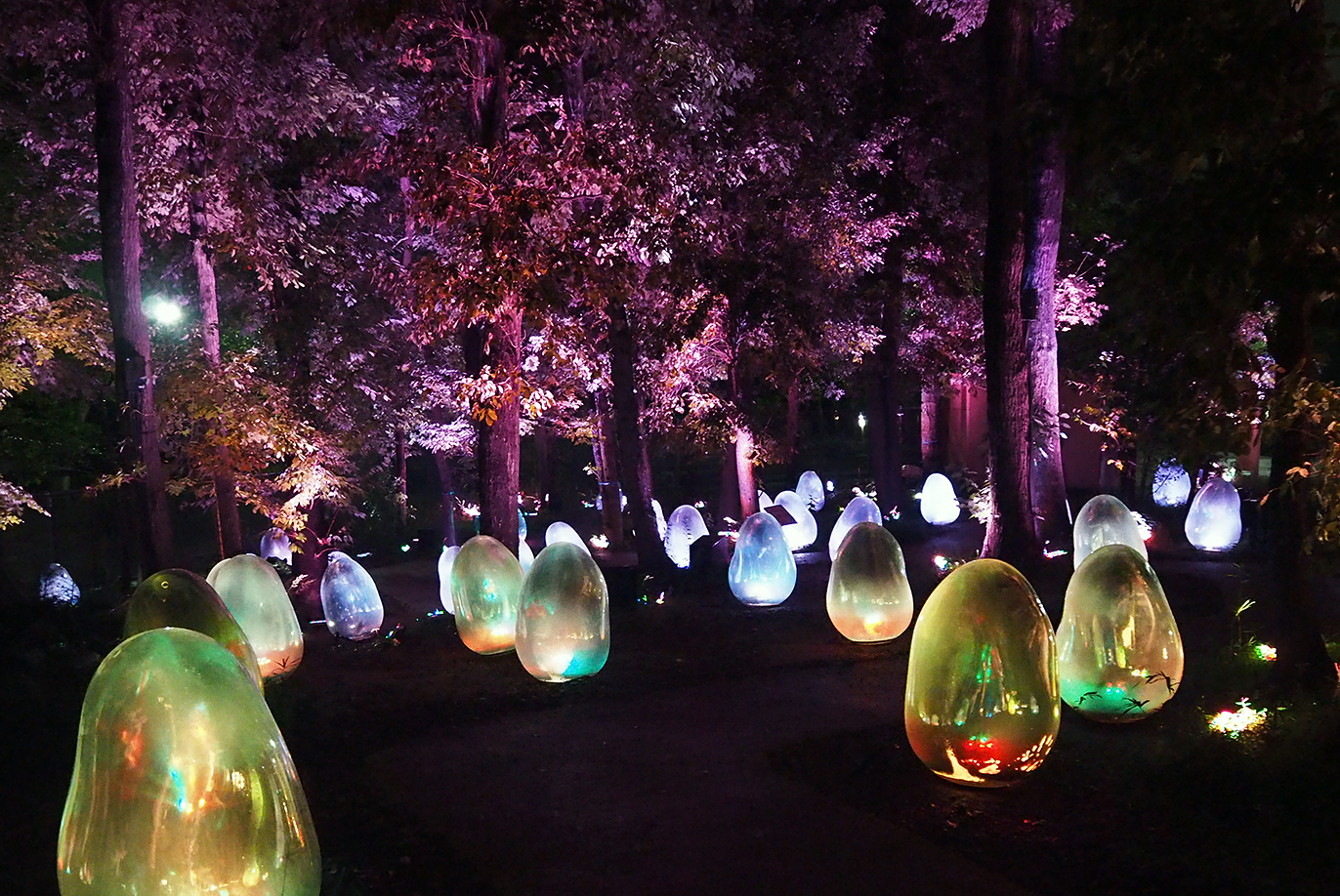 デジタルアートで幻想的な世界に変わる武蔵野樹林パーク
