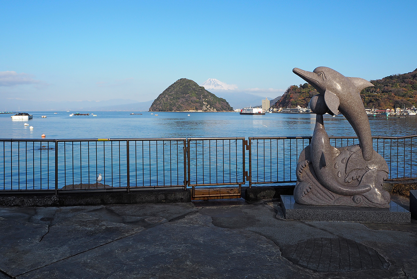 ショーが人気の歴史ある水族館「伊豆・三津シーパラダイス」