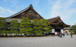 徳川家の栄枯盛衰と日本の歴史を見守ってきた「二条城」