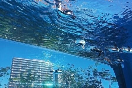 都会に浮かぶ天空のオアシス「サンシャイン水族館」