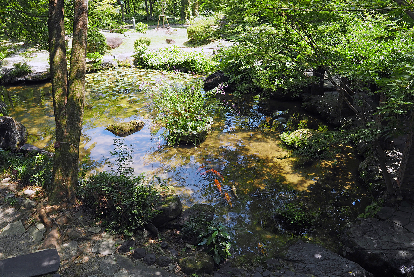 天王山の景観と一体となった庭園