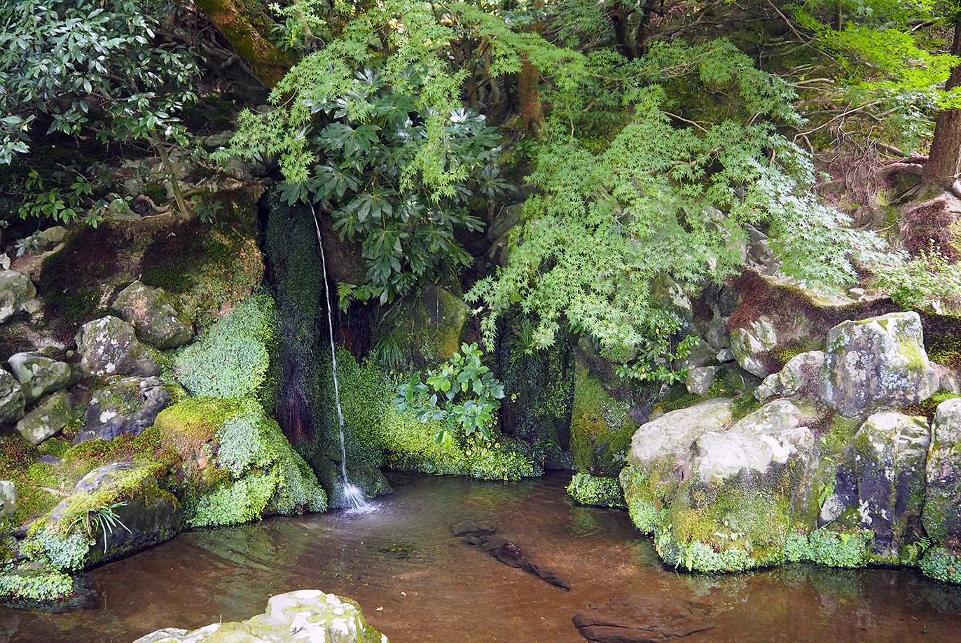 湧き水の洗月泉